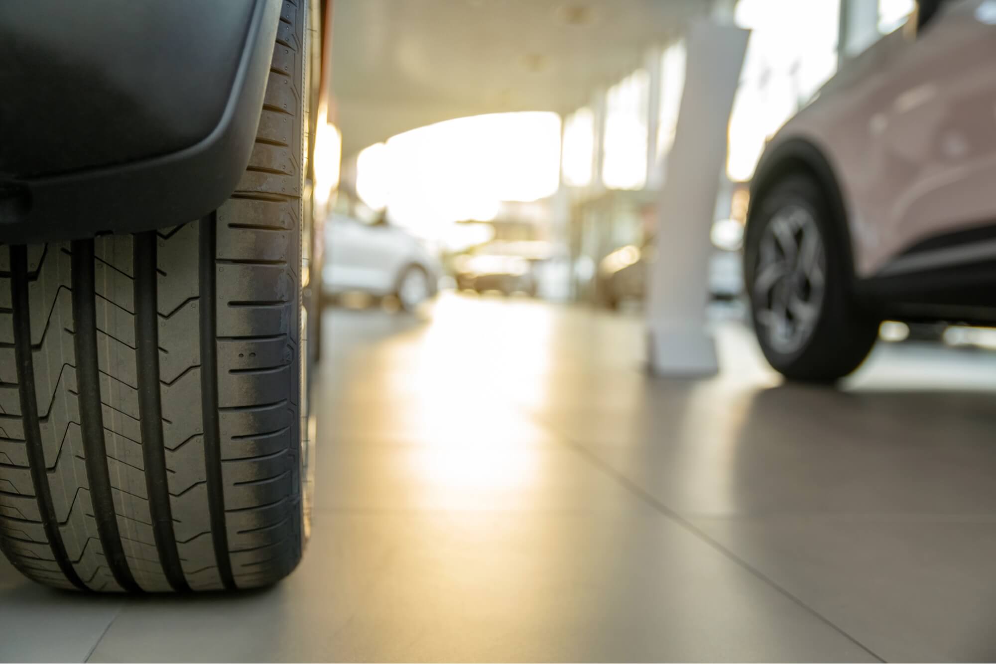 Mercer Motor Company inventory